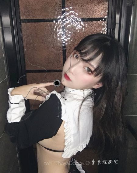 风吟鸟_DVD高清在线观看