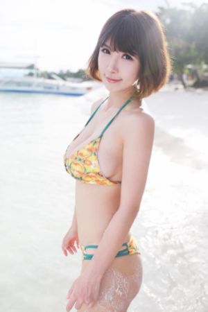 国产一级片av大片_日本成人在线